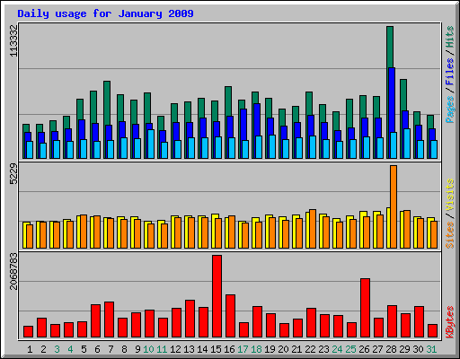 Daily usage for January 2009