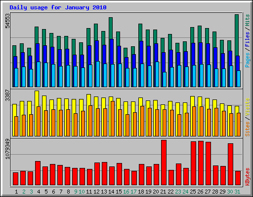 Daily usage for January 2010