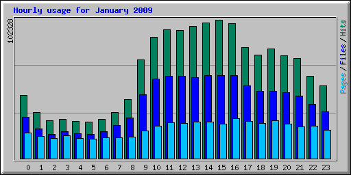 Hourly usage for January 2009