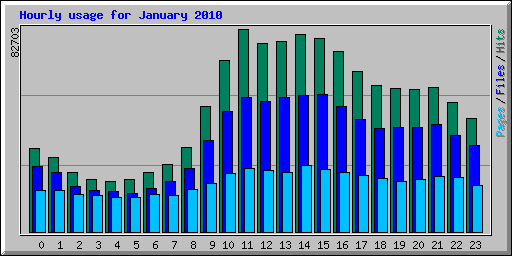 Hourly usage for January 2010