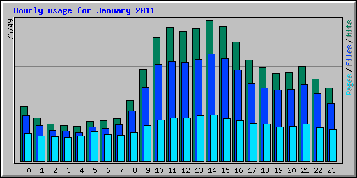 Hourly usage for January 2011