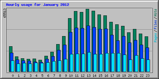 Hourly usage for January 2012