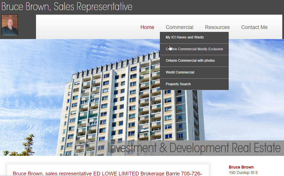For Your Website IDX Links Real Estate Haves and Wants